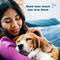 CHEWY  - Bil-Jac Little-Jacs Small Dog Chicken Liver Training Dog Treats, 4-oz  bag(PACK OF 4)