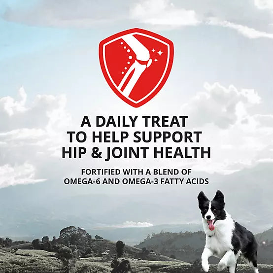 4health Special Care Hip &amp; Joint Supplement Treats for Dogs – Chicken &amp; Sweet Potato Recipe