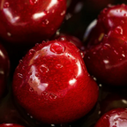 Stur - Black Cherry(pack of 5)