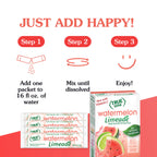 True Lime Watermelon Limeade(Pack of 4)