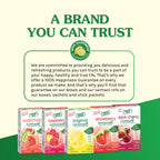 True Lime Watermelon Limeade(Pack of 4)