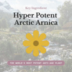 FROYA ORGANICS - Hyper Potent Dark Circles & Bag Eye Balm