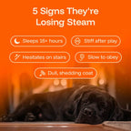 Pawprint Lab – Advanced Daily Wellness Drops for Dogs
