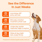 Pawprint Lab – Advanced Daily Wellness Drops for Dogs