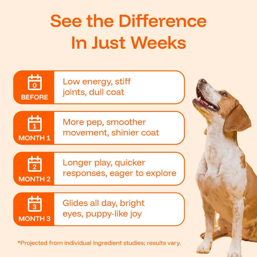 Pawprint Lab – Advanced Daily Wellness Drops for Dogs