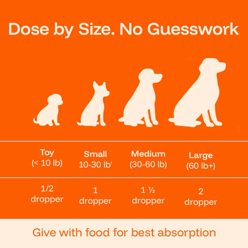 Pawprint Lab – Advanced Daily Wellness Drops for Dogs