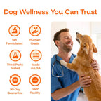 Pawprint Lab – Advanced Daily Wellness Drops for Dogs