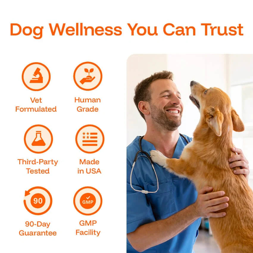 Pawprint Lab – Advanced Daily Wellness Drops for Dogs