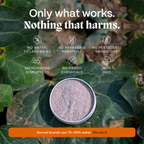 norse organics - Scrub for Acne-Prone Skin