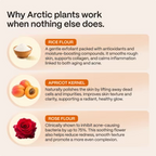 norse organics - Scrub for Acne-Prone Skin