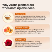 norse organics - Scrub for Acne-Prone Skin