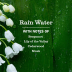Mrs. MEYERS CLEAN DAY - Rain Water Hand Lotion